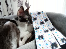 Lataa kuva Galleria-katseluun, Kissasukat oman kissan kuvalla