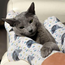 Lataa kuva Galleria-katseluun, Kissasukat oman kissan kuvalla