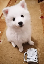 Lataa kuva Galleria-katseluun, Muki omalla kuvalla