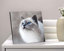 Lataa kuva Galleria-katseluun, Taulu lemmikin kuvalla